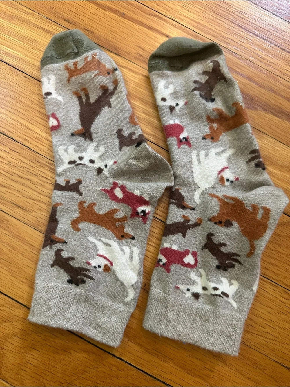 Women’s Novelty Dog Pattern Socks – Olive Toe, Taupe Base
